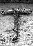 Wall_Art_Alphabet_Photography_Art_ 2172